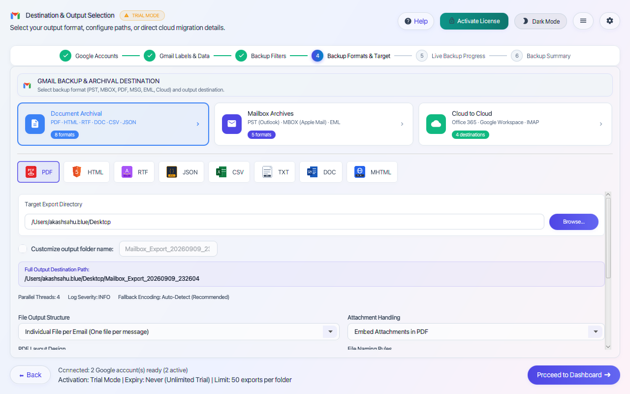 Step 04: Backup Formats & Target Destination Selection — Gmail Backup Tool Interface Walkthrough